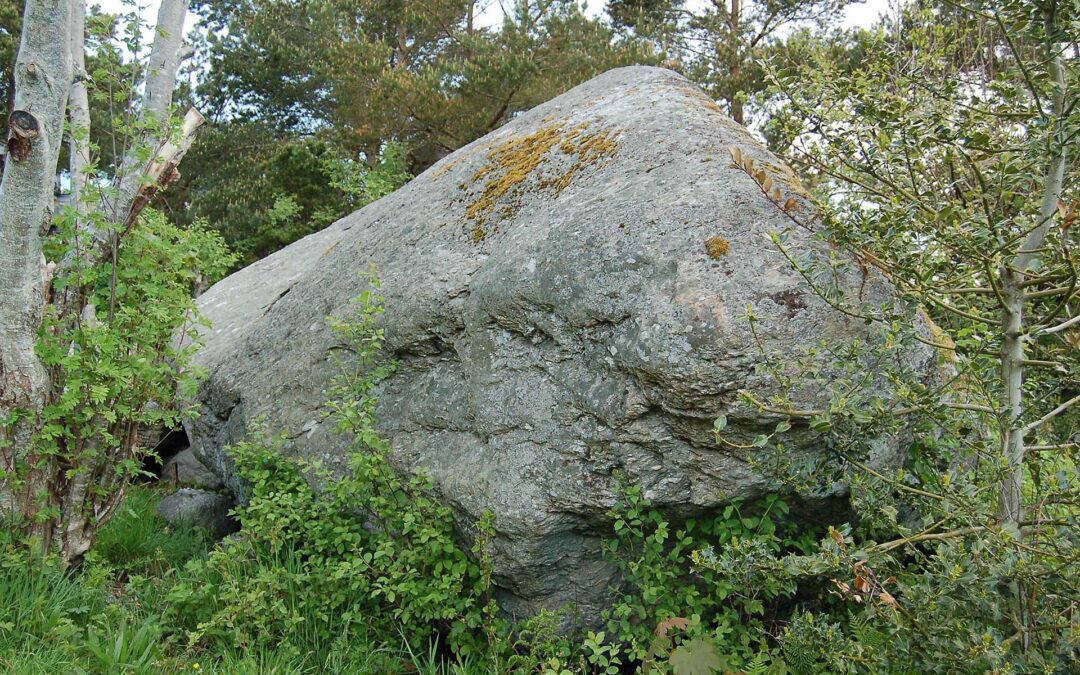 Vassøy 14